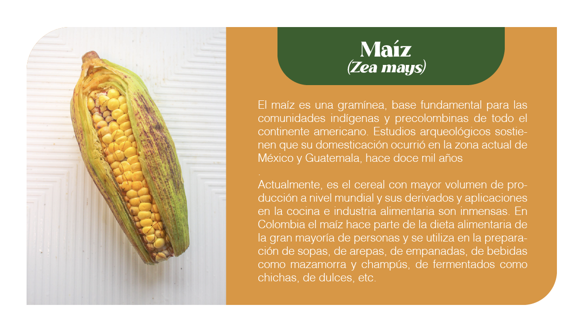 Mesa de trabajo 14