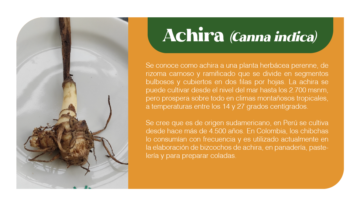 Mesa de trabajo 3