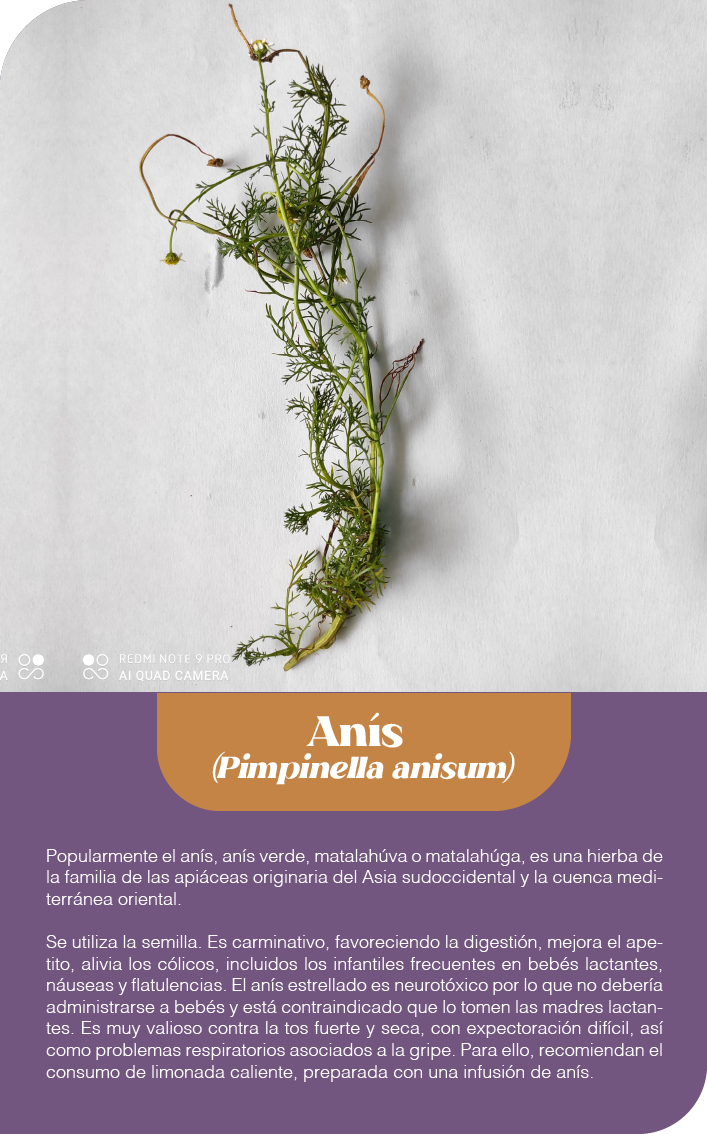 Mesa de trabajo 29