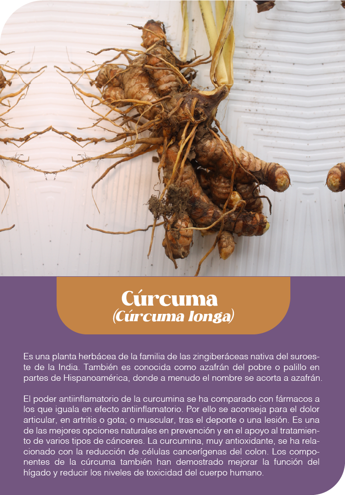 Mesa de trabajo 34