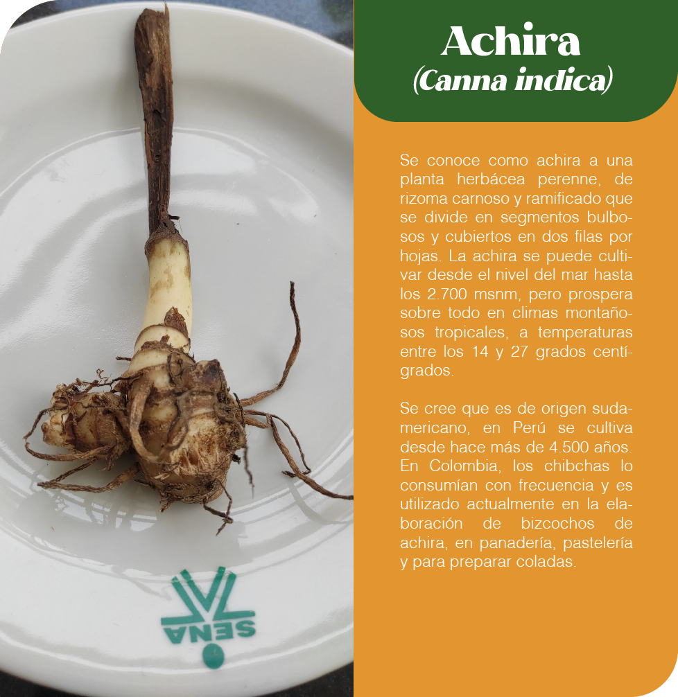 Mesa de trabajo 34