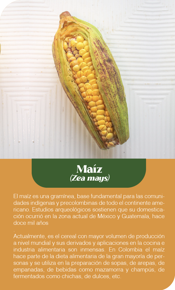 Mesa de trabajo 37