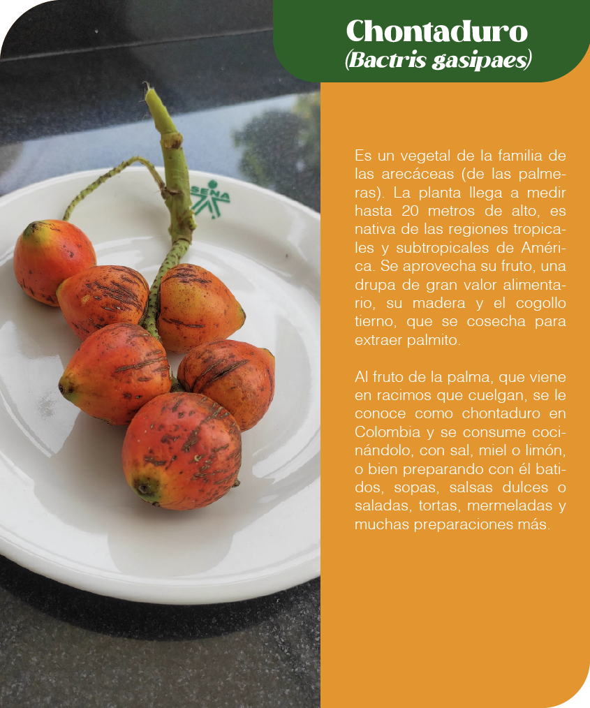 Mesa de trabajo 43